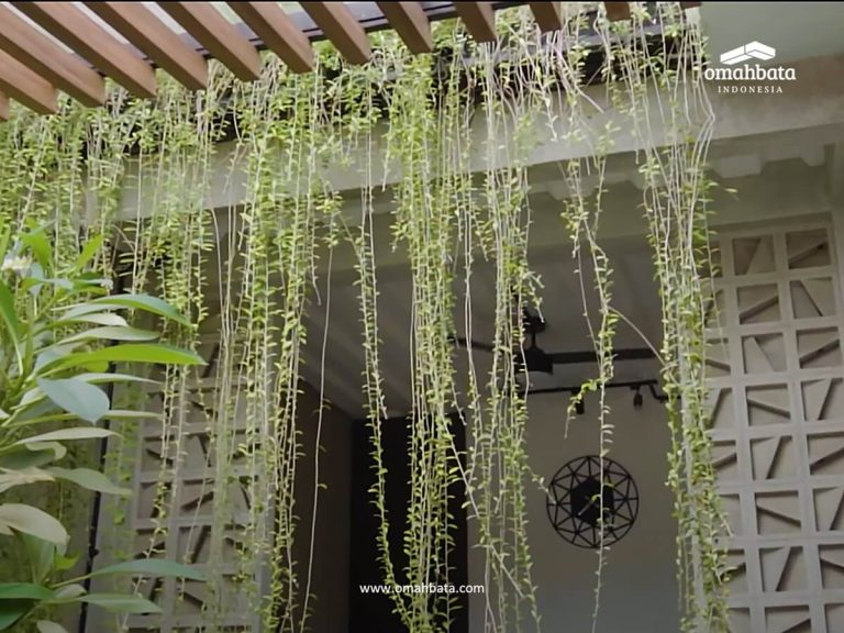 CKK_House4